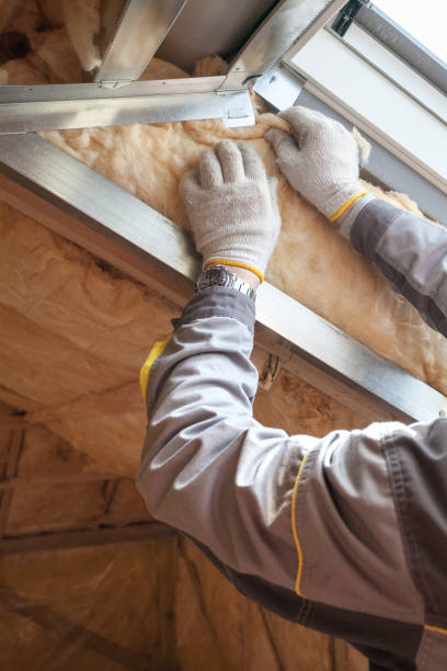 Best Insulation Removal  in New Wilmington, PA