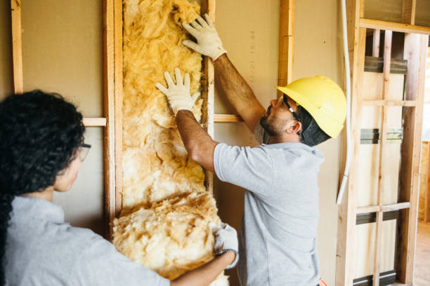 Best Insulation Inspection Services  in New Wilmington, PA